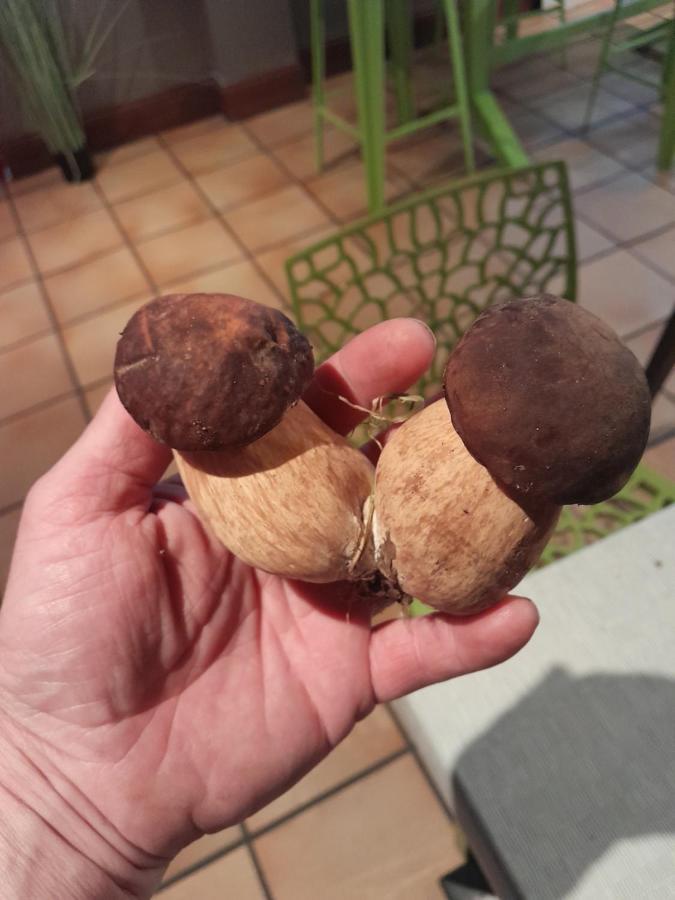 La Marchadaine Alojamento de Acomodação e Pequeno-almoço *