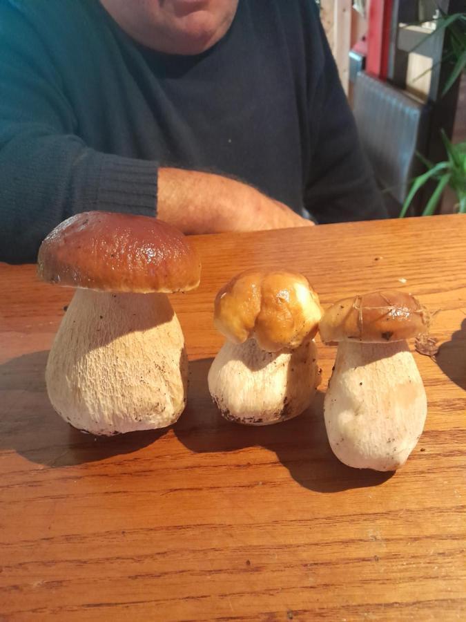 Alojamento de Acomodação e Pequeno-almoço La Marchadaine